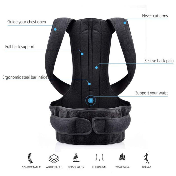 Premium Back Pain Relief & Posture Corrector Belt